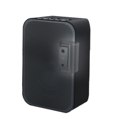 Cavus zwarte muursteun voor Bluesound Pulse Flex